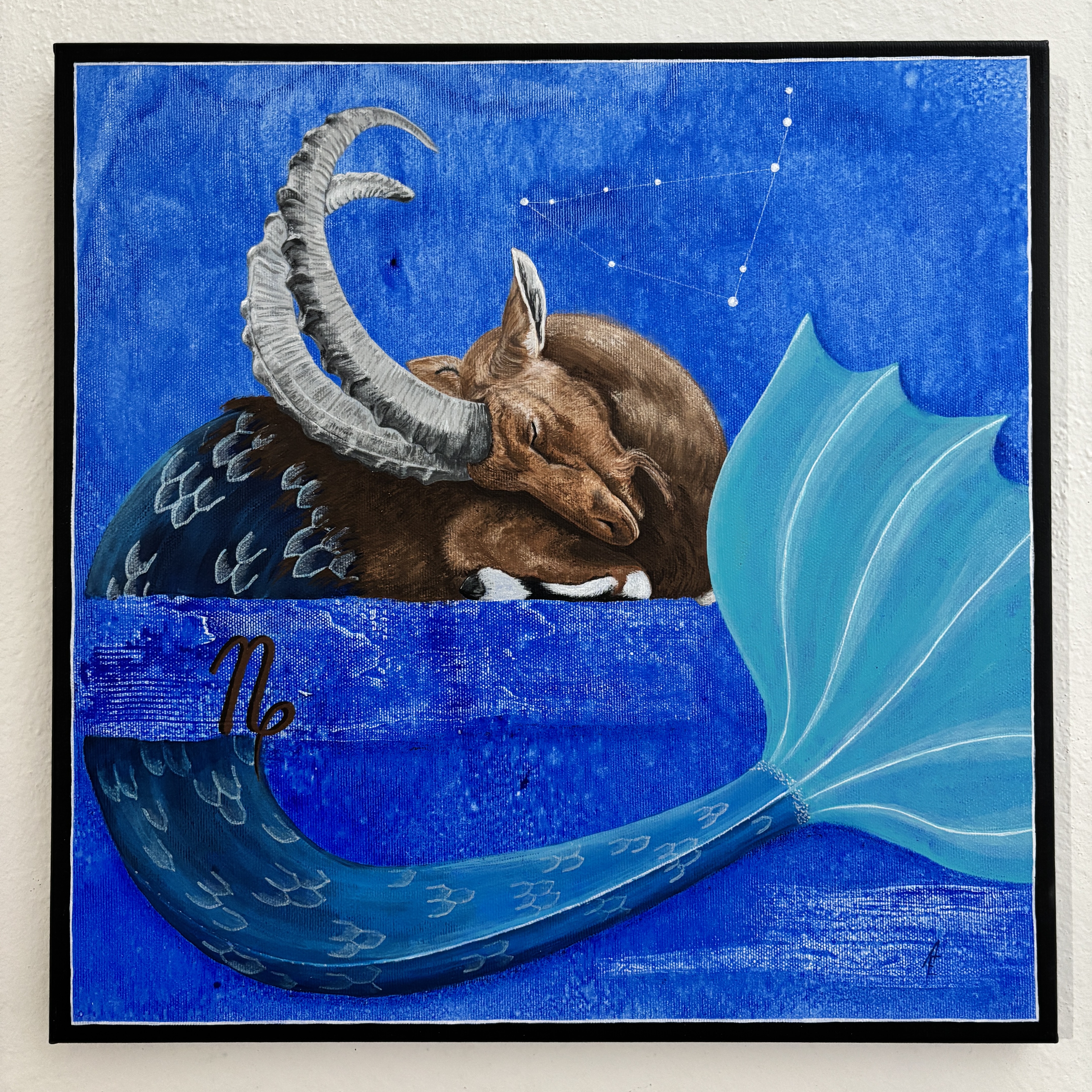 Kozoroh - znamení zvěrokruhu