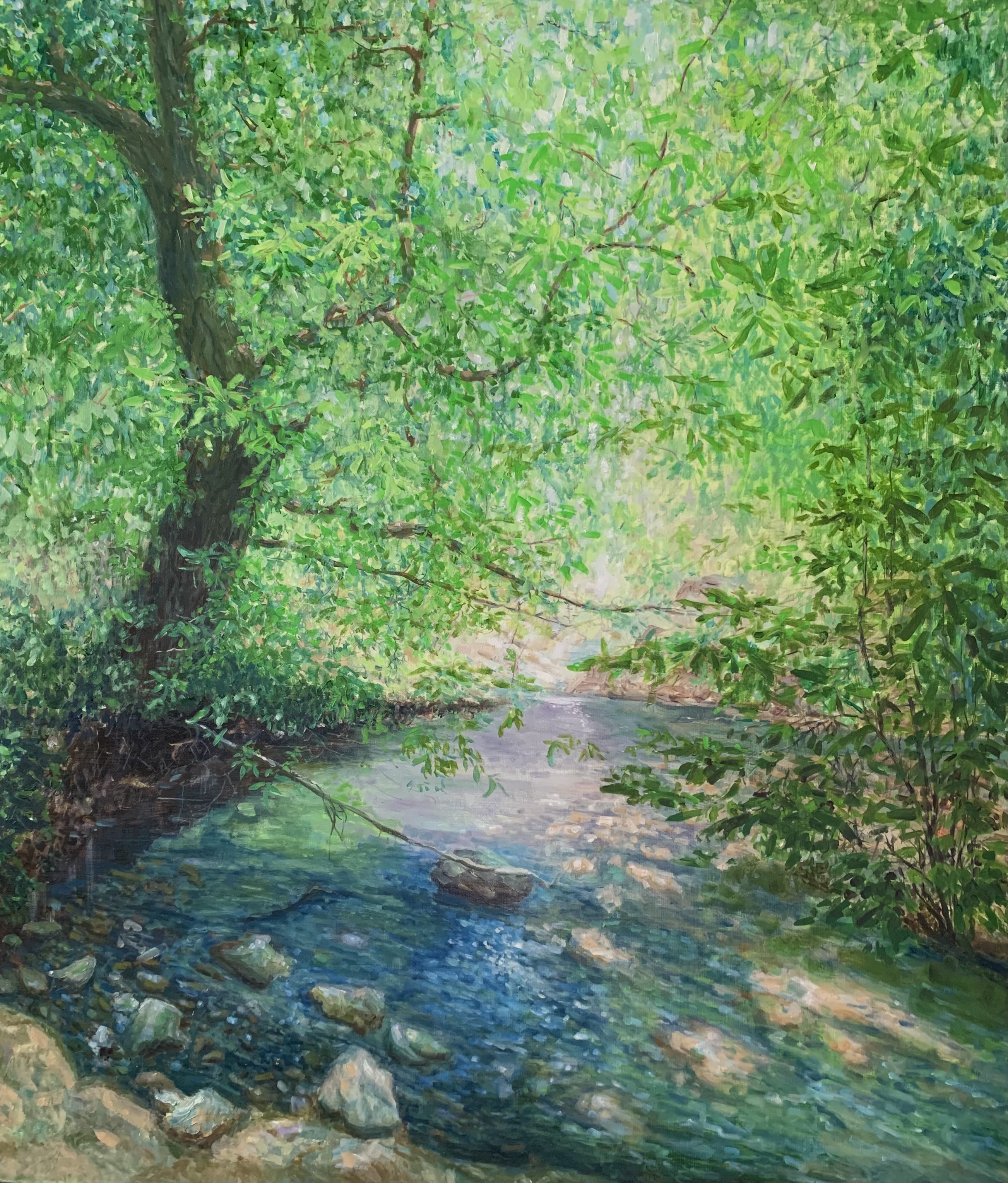 midday in the mountains