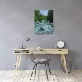 Thumbnail for The Carpathian Mountain River