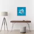 Thumbnail for Kontinuita