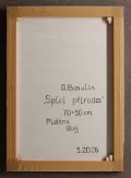 Thumbnail for Spící Příroda