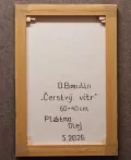 Thumbnail for Čerstvý vítr