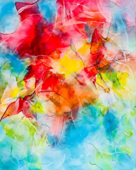 Radost nechat vzkvést by Kateřina Bohušíková