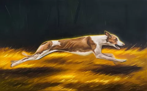 Without looking back by Lena Med