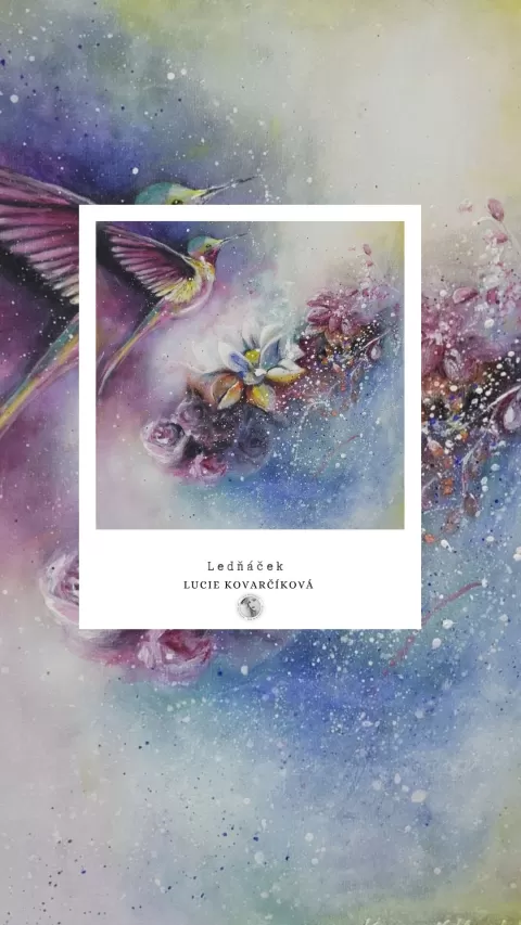 LEDŇÁČEK by Lucie Kovarčíková