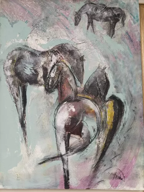 Divoké koně by Matej Motyčka