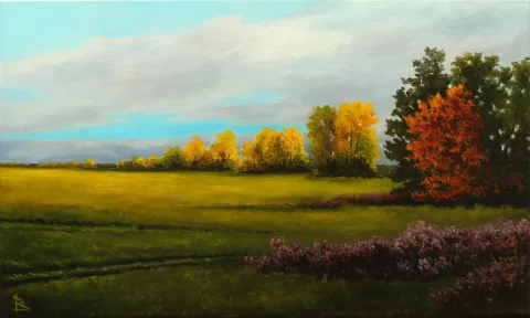 Wide field by Oleg Baulin