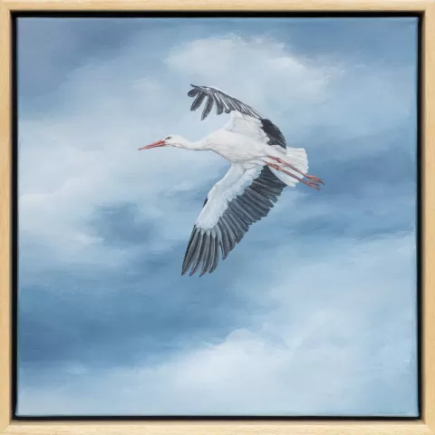 Čáp bílý by Kateřina Bartoňová