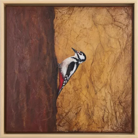 Strakapoud velký by Kateřina Bartoňová