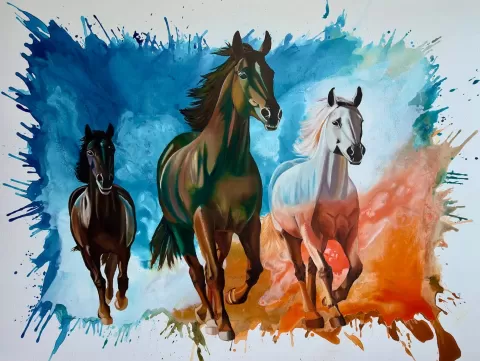 Stride by Babita Sridhar