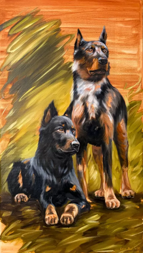 Special Plans by Lena Med