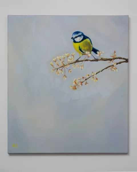 Sýkorka by Michal Černo