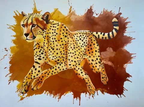 Boundless by Babita Sridhar