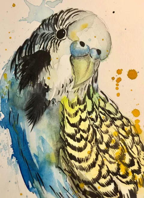 Bird by Samir Saqallah