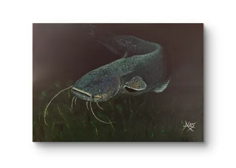 Siluro by Andrej Korchanik