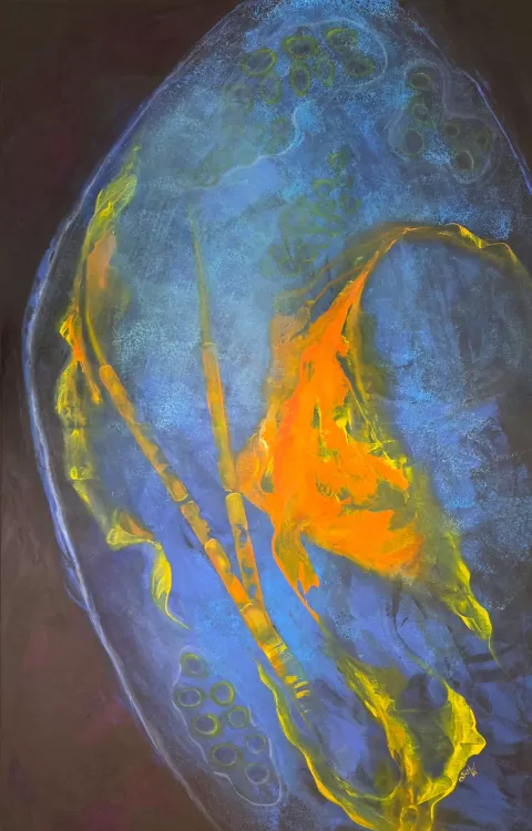 Anatomie hlubin by Silvie Kořistková