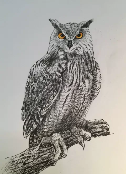 Bird 2 by Samir Saqallah