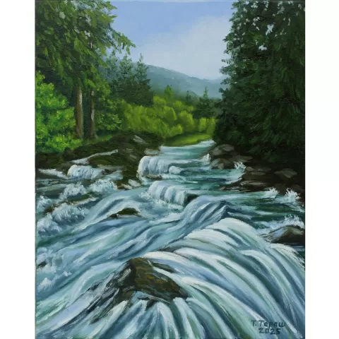 The Carpathian Mountain River by Tetiana Teresh