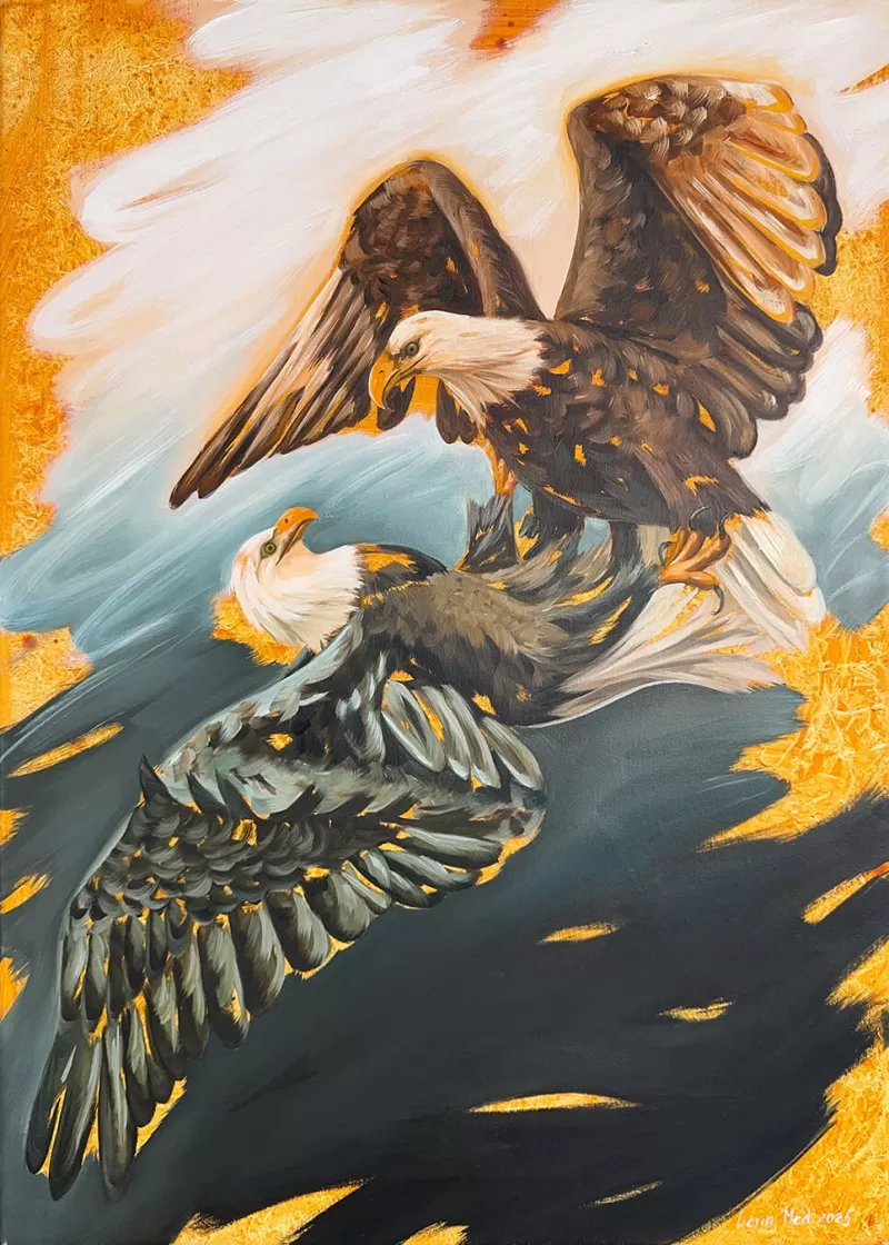 Wings of Metamorphosis