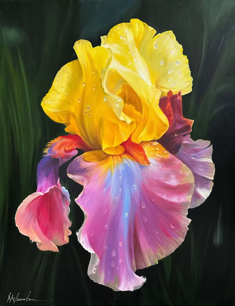 The flower of seven colours.